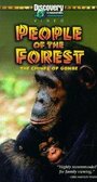 Фильм «People of the Forest: The Chimps of Gombe» скачать бесплатно в хорошем качестве без регистрации и смс 1080p