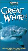 Фильм «Great White» смотреть онлайн фильм в хорошем качестве 1080p