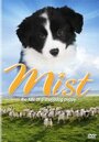 Фильм «Mist: The Tale of a Sheepdog Puppy» скачать бесплатно в хорошем качестве без регистрации и смс 1080p