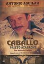 Фильм «Caballo prieto azabache» скачать бесплатно в хорошем качестве без регистрации и смс 1080p