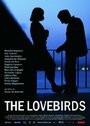 Фильм «The Lovebirds» скачать бесплатно в хорошем качестве без регистрации и смс 1080p