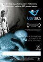 «Rare Bird» трейлер фильма в хорошем качестве 1080p