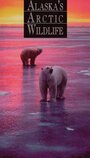 «Alaska's Arctic Wildlife» кадры фильма в хорошем качестве