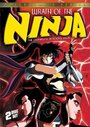 Аниме «Гнев ниндзя» скачать бесплатно в хорошем качестве без регистрации и смс 1080p