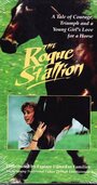 Фильм «The Rogue Stallion» смотреть онлайн фильм в хорошем качестве 720p