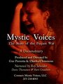 Фильм «Mystic Voices: The Story of the Pequot War» скачать бесплатно в хорошем качестве без регистрации и смс 1080p