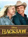 Фильм «Hacksaw» смотреть онлайн фильм в хорошем качестве 720p