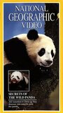 Фильм «Secrets of the Wild Panda» скачать бесплатно в хорошем качестве без регистрации и смс 1080p