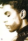 Prince: The Hits Collection