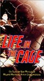 Фильм «Life in the Cage» скачать бесплатно в хорошем качестве без регистрации и смс 1080p