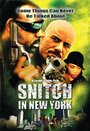 Snitch in New York