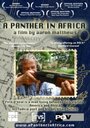 Фильм «A Panther in Africa» скачать бесплатно в хорошем качестве без регистрации и смс 1080p