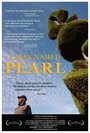 «A Man Named Pearl» кадры фильма в хорошем качестве