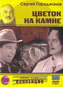 «Цветок на камне» кадры фильма в хорошем качестве