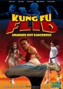 Фильм «Kung Fu Flid» скачать бесплатно в хорошем качестве без регистрации и смс 1080p