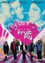 Фильм «Fruit Fly» скачать бесплатно в хорошем качестве без регистрации и смс 1080p