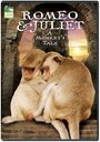 Romeo & Juliet: A Monkey's Tale