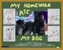 Фильм «My Homework Ate My Dog» смотреть онлайн фильм в хорошем качестве 720p