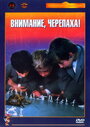 Фильм «Внимание, черепаха!» смотреть онлайн фильм в хорошем качестве 720p