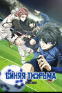 Аниме «Синяя тюрьма: Блю Лок» скачать бесплатно в хорошем качестве без регистрации и смс 1080p