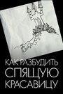 Фильм «Как разбудить Спящую красавицу» смотреть онлайн фильм в хорошем качестве 720p