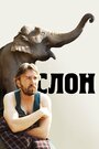 Фильм «Слон» смотреть онлайн фильм в хорошем качестве 720p