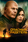 Фильм «Опасный свидетель» смотреть онлайн фильм в хорошем качестве 720p