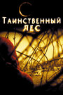 Фильм «Таинственный лес» скачать бесплатно в хорошем качестве без регистрации и смс 1080p