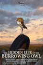 «The Hidden Life of the Burrowing Owl» кадры мультфильма в хорошем качестве