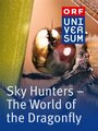 «The Sky Hunters» трейлер фильма в хорошем качестве 1080p