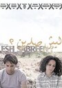 Фильм «Lesh Sabreen?» скачать бесплатно в хорошем качестве без регистрации и смс 1080p