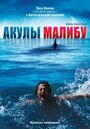 Фильм «Акулы Малибу» смотреть онлайн фильм в хорошем качестве 720p