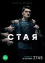 «Стая» трейлер сериала в хорошем качестве 1080p