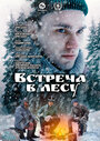 Фильм «Встреча в лесу» смотреть онлайн фильм в хорошем качестве 720p