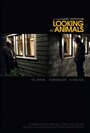 «Looking at Animals» кадры фильма в хорошем качестве