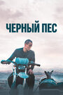 Фильм «Чёрный пёс» смотреть онлайн фильм в хорошем качестве 720p