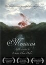 Meniscus (2010)