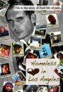 Homeless in Los Angeles, the Los Angeles Breakdown