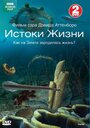 Сериал «BBC: Истоки жизни» смотреть онлайн сериалв хорошем качестве 1080p