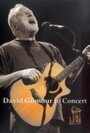 ТВ-передача «David Gilmour in Concert» смотреть онлайн в хорошем качестве 720p