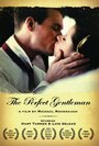 Фильм «The Perfect Gentleman» скачать бесплатно в хорошем качестве без регистрации и смс 1080p