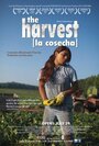 Фильм «The Harvest/La Cosecha» смотреть онлайн фильм в хорошем качестве 720p