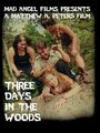 «Three Days in the Woods» трейлер фильма в хорошем качестве 1080p