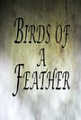 Фильм «Birds of a Feather» смотреть онлайн фильм в хорошем качестве 720p