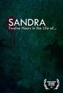 Sandra: Twelve Hours in the Life of...