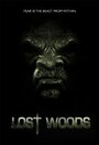 Lost Woods