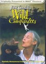 Фильм «Jane Goodall's Wild Chimpanzees» скачать бесплатно в хорошем качестве без регистрации и смс 1080p