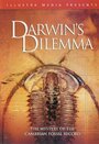 Фильм «Darwin's Dilemma» скачать бесплатно в хорошем качестве без регистрации и смс 1080p