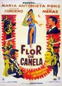 «Flor de canela» трейлер фильма в хорошем качестве 1080p