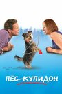 Фильм «Пес-купидон» смотреть онлайн фильм в хорошем качестве 720p